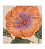 Island Hibiscus II Prints by Judy Shelby