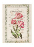 Botanical Garden Posters by Zachary Alexander