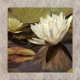 Lotus Jewel II Affiches par Jan Sacca