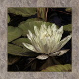 Lotus Jewel I Affiche par Jan Sacca