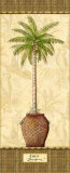 Botanical Palm III Art by Charlene Audrey