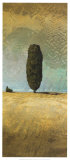 Sandy Crest Poster by Chris Hill