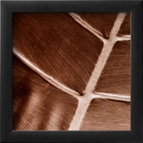 Particular Print by Canales 