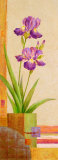 In the Garden IV Posters par Pamela Gladding