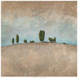 Sandy Hill Prints by Chris Hill