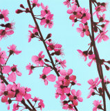 Cherry Tree Blossom Print by Christophe Szkudlarek