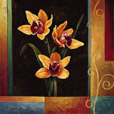 Yellow Orchids Prints by Jill Deveraux