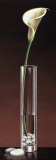 Calla Haiku Poster by Yuki Ross