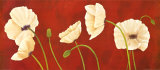Danza di Papaveri Bianchi Poster by Maria Grazia Luffarelli Danza di Papaveri Bianchi Poster by Maria Grazia Luffarelli
