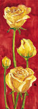 Rose in Rosso Art by Giuseppina Tartagni