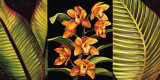 Orange Orchids and Palm Leaves Posters by Rodolfo Jimenez