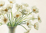 Bouquet di Anemoni Prints by Eva Barberini