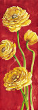 Ranuncoli in Rosso Poster by Giuseppina Tartagni