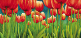 Fra i Tulipani Prints by Maria Grazia Luffarelli Fra i Tulipani Prints by Maria Grazia Luffarelli