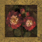 Red Camellias II Prints by John Seba Red Camellias II Prints by John Seba