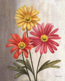 Gerber Daisies Art by Debra Lake