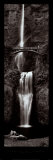 Cascading Falls Posters par George Lambros