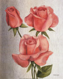 American Classic Rose Póster por Debra Lake American Classic Rose Póster por Debra Lake