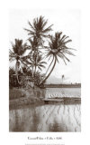 Coco Palms, Oahu, 1926 Posters