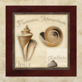 Thatcheria Merveilleuse Poster par Lisa Audit