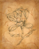 Pencil Sketch Floral IV Prints by Justin Coopersmith
