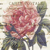 Carte Postale Rose III Poster van Paula Scaletta