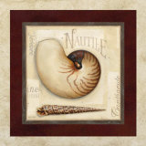 Nautile Posters par Lisa Audit