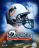 Miami Dolphins Helmet Logo ©Photofile