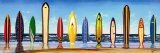 Exhibición de tablas de surf Láminas por Scott Westmoreland