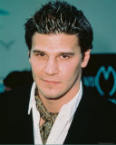David Boreanaz Photo