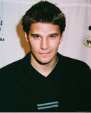 David Boreanaz Photo