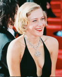 Chloe Sevigny Photo