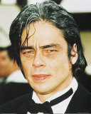 Benicio Del Toro Photographie