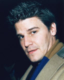 David Boreanaz Photo