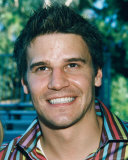 David Boreanaz Photo
