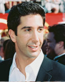 David Schwimmer Photo