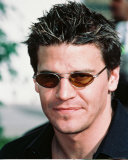 David Boreanaz Photo