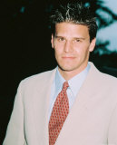 David Boreanaz Photo