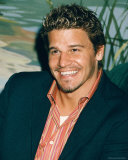 David Boreanaz Photo