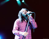 Counting Crows Photo