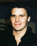 David Boreanaz Photo