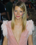 Gwyneth Paltrow Photo