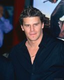 David Boreanaz Photo