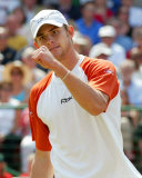 Andy Roddick Fotografía