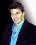 David Boreanaz Photo