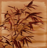 Bamboo Waves II Prints by Thomas Kalwa