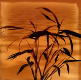 bamboo poster