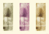 Multi-Colored Palms, Green and Purple Prints by Thomas Kalwa