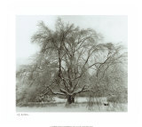 Winter Posters by Richard Calvo