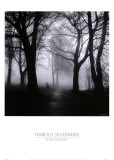 Wooded Bench Prints by Harold Silverman